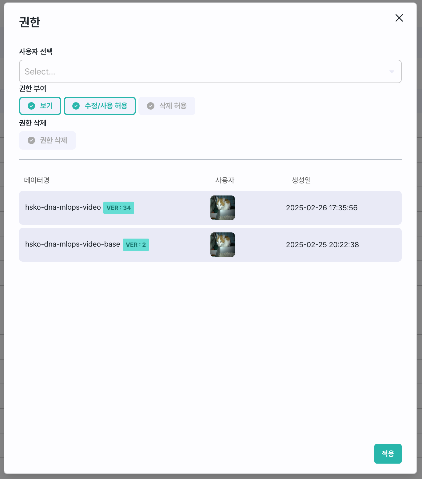 datahub_permission