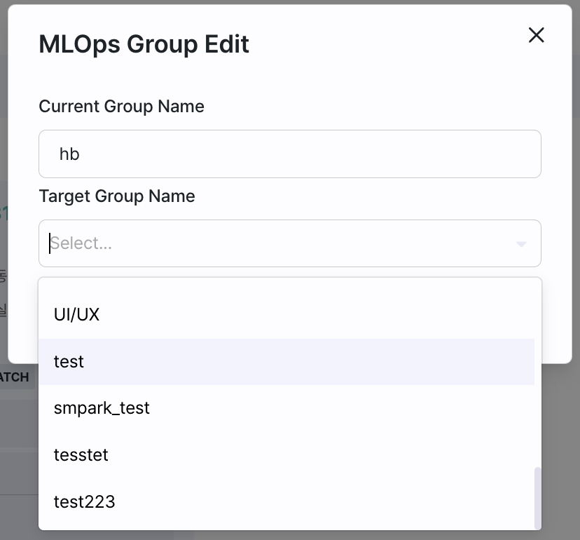 mlops_group_edit